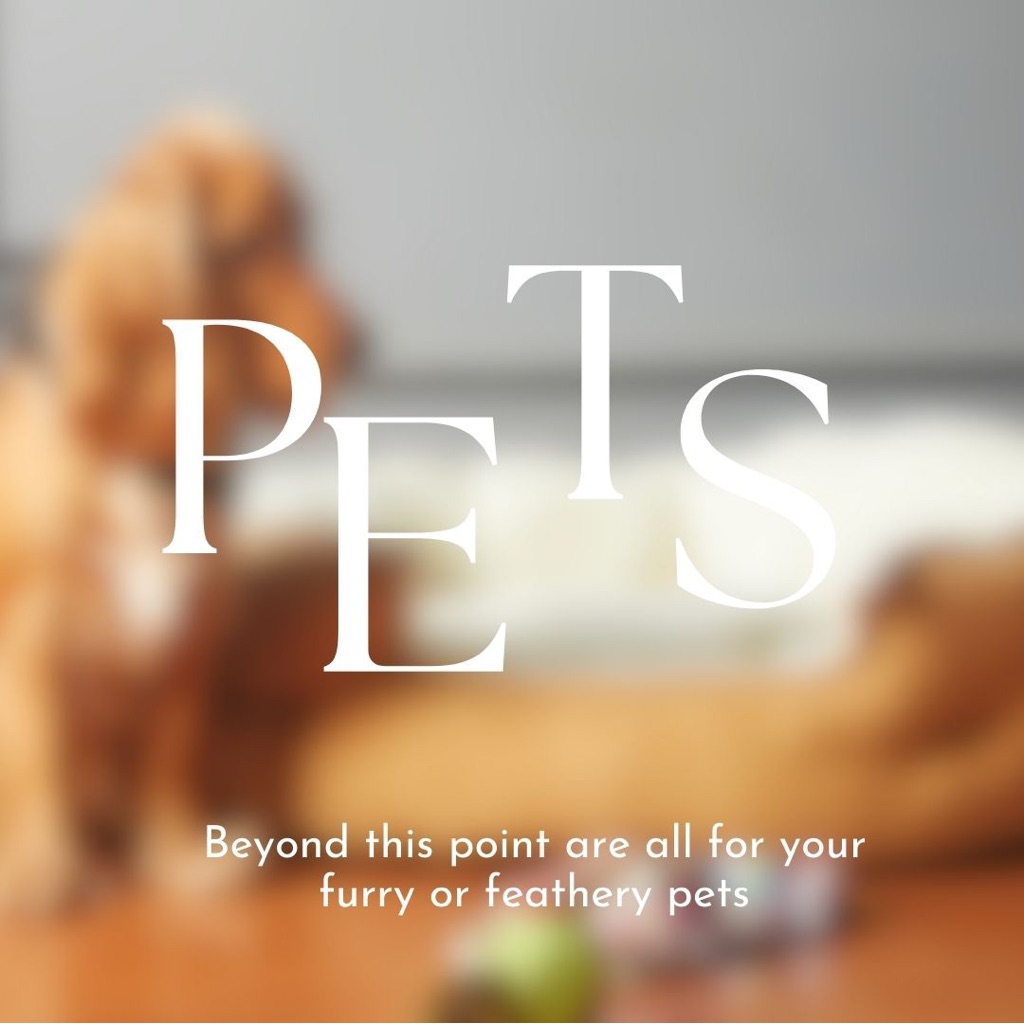 Pet Items Beyond This Listing